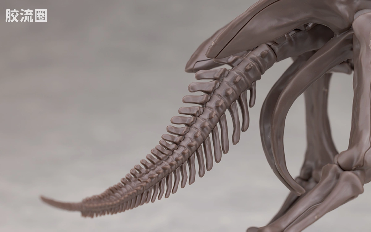 万代综合拼装模型系列 Imaginary Skeleton系列 三角龙 - 图片